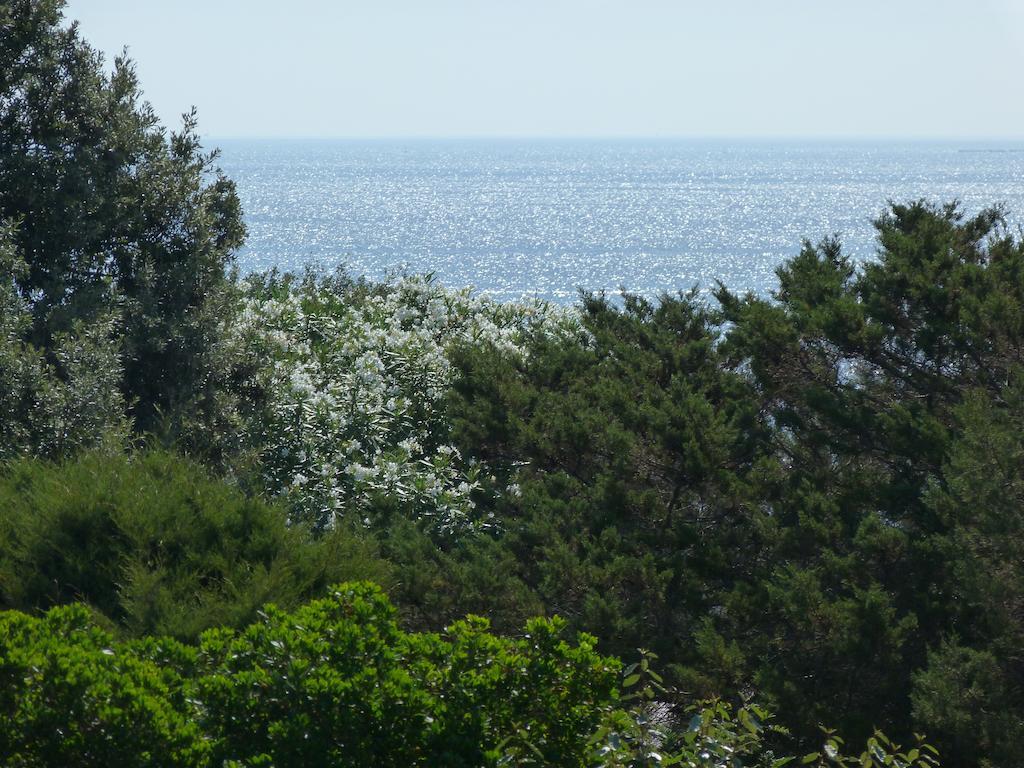 Villetta La Ginestra Stintino Esterno foto